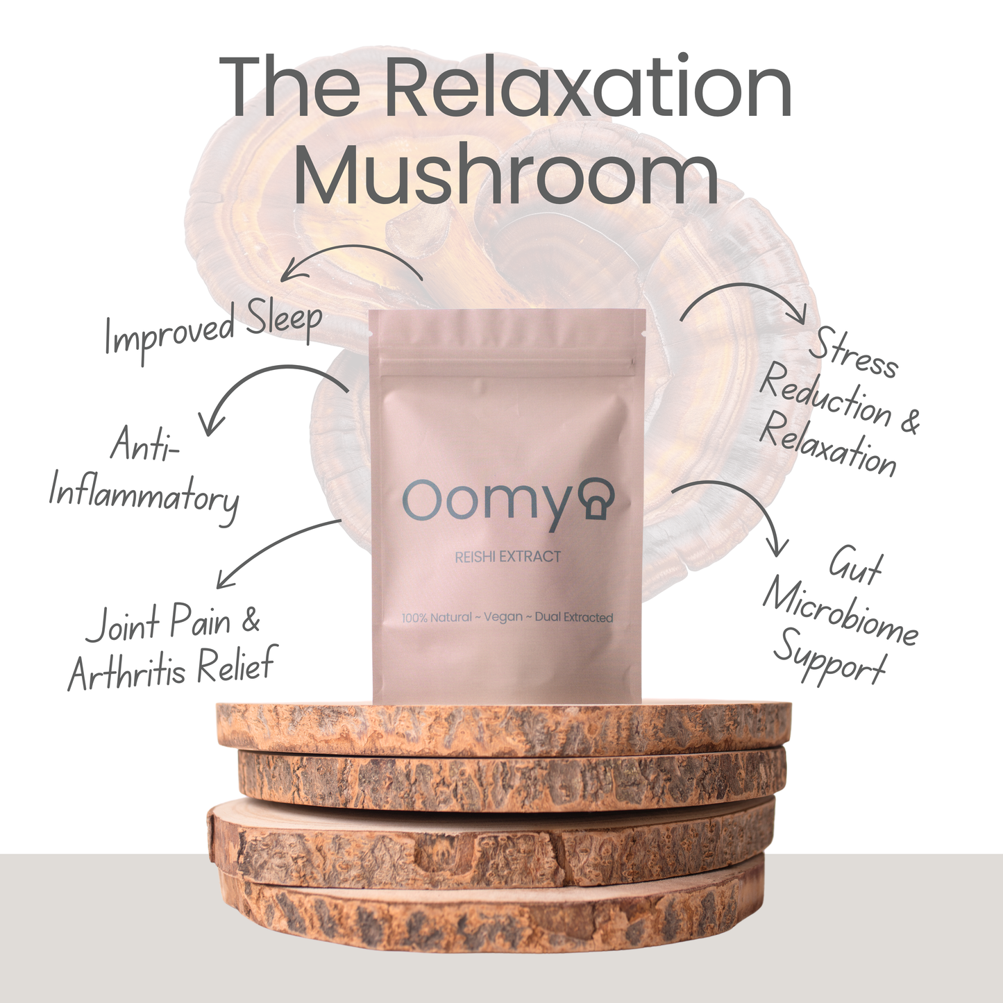Reishi Extract 60g