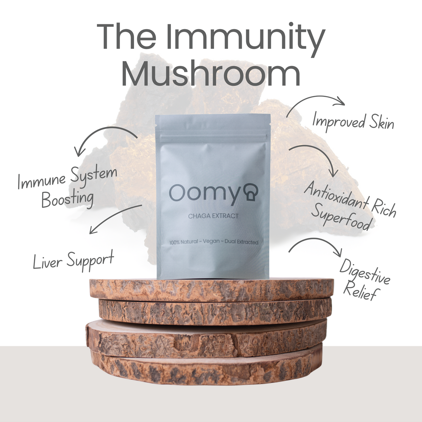 Chaga Extract 60g