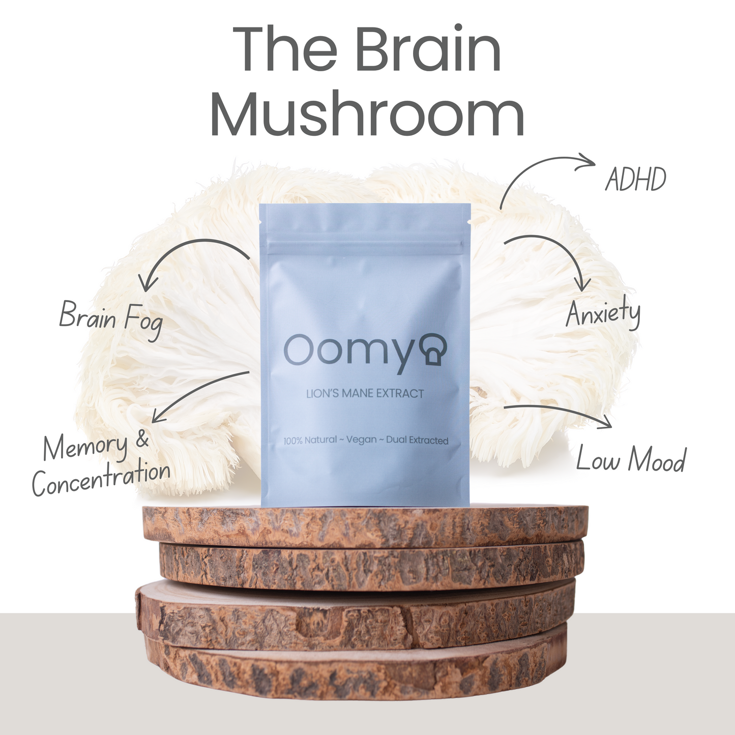 Lion's Mane Extract 60g
