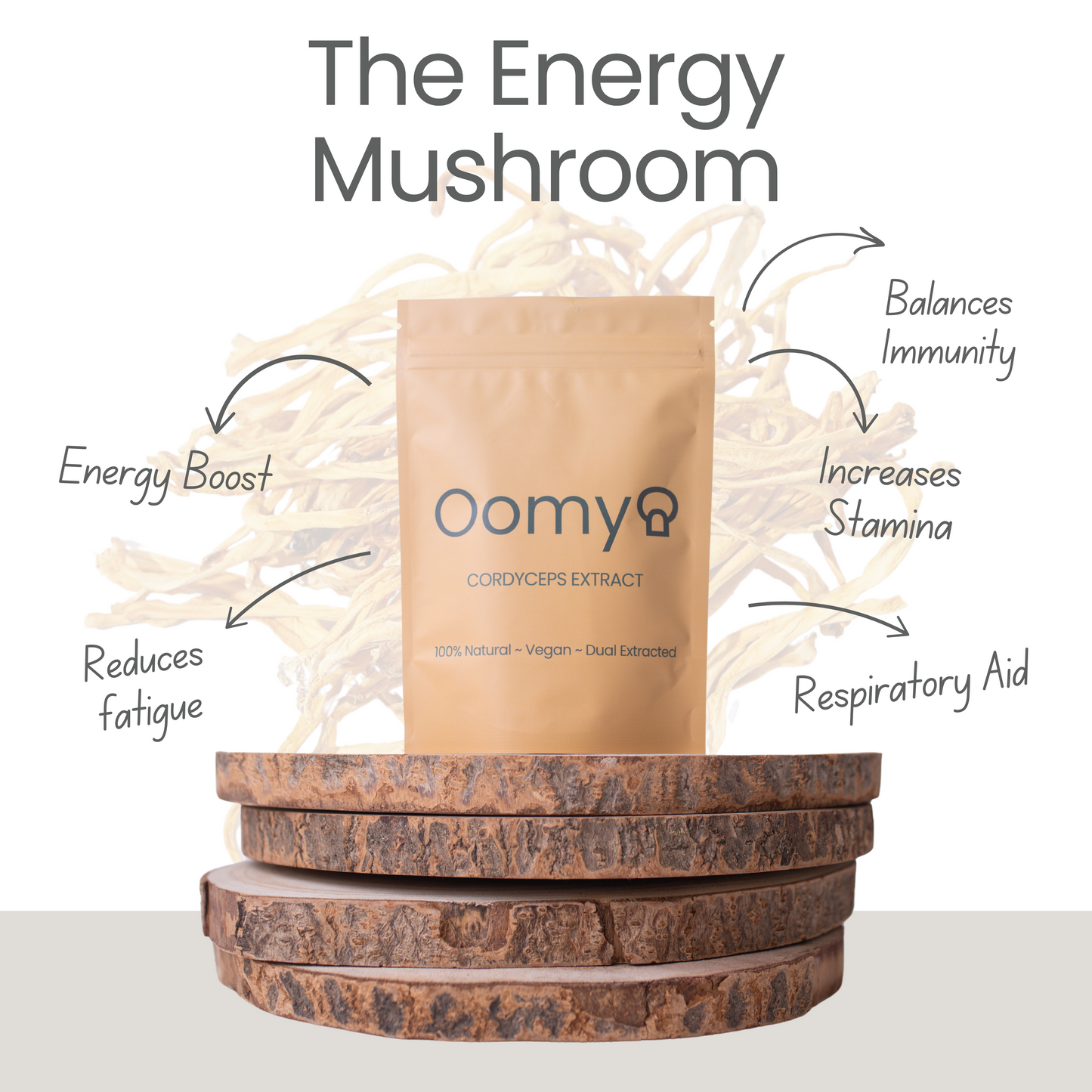 Cordyceps Extract 60g