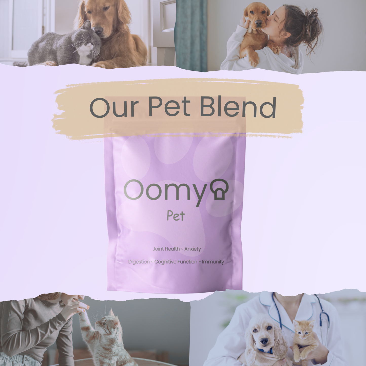 Oomy Pet