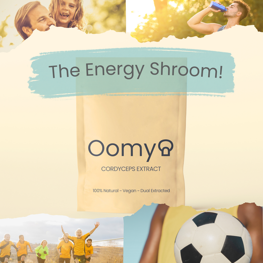 Cordyceps Extract 60g