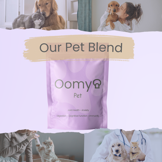 Oomy Pet