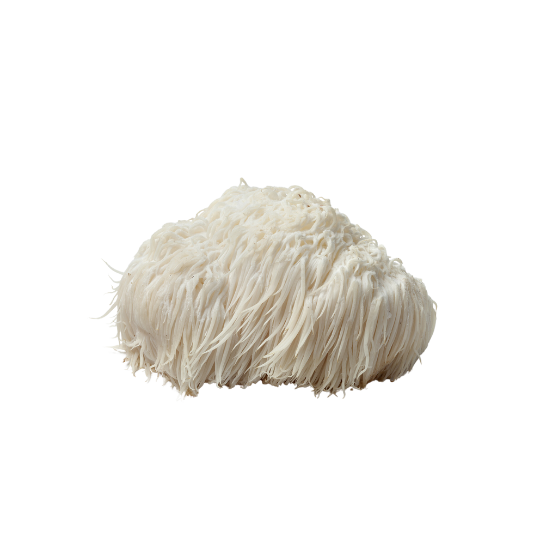 The Lion's mane mushroom.